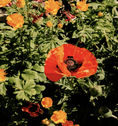 Vision board example 6